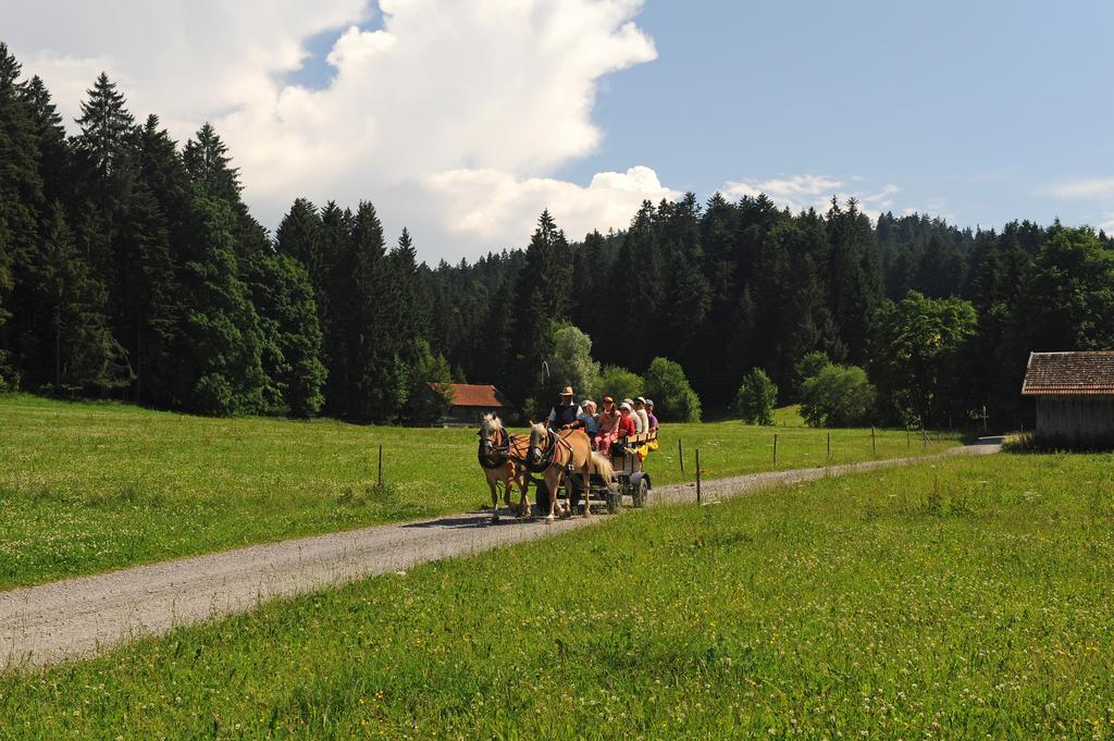 Hotel Bergblick Scheidegg Luaran gambar